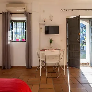 Gadi Corral Siglo Xvi Siviglia